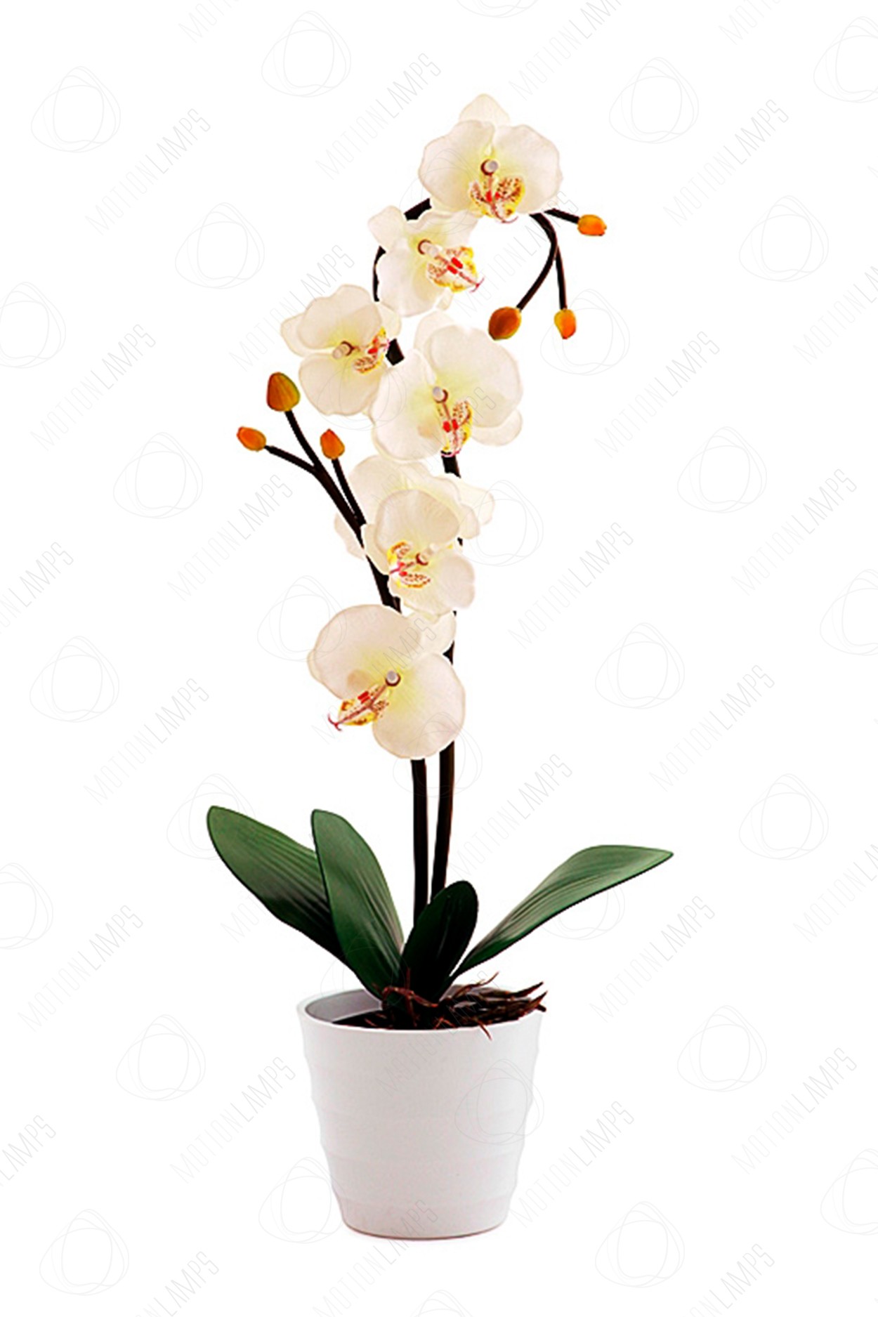 Светодиодный светильник Орхидея белая в Санкт-Петербурге