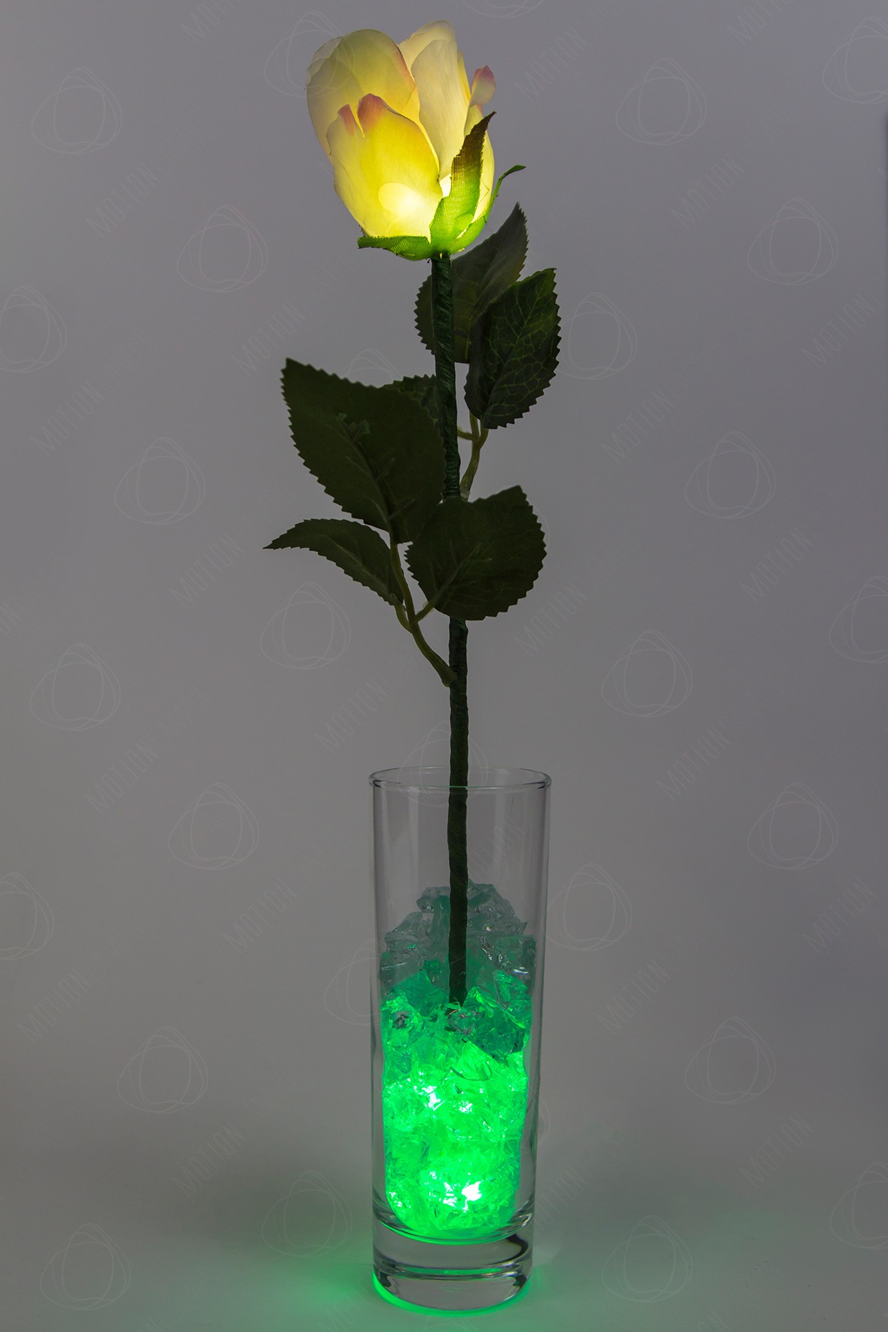 Ночник Роза Кремовая с зелёной подсветкой в Санкт-Петербурге