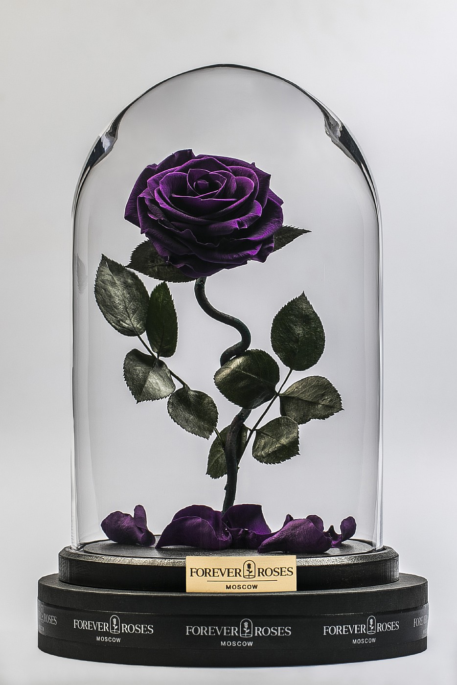 Роза в колбе (фиолетовая) на изогнутом стебле, 33 см в Санкт-Петербурге