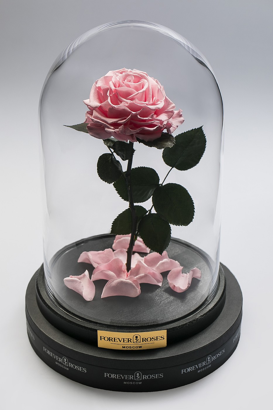 Роза в колбе (светло розовая) на прямом стебле, 27 см в Санкт-Петербурге