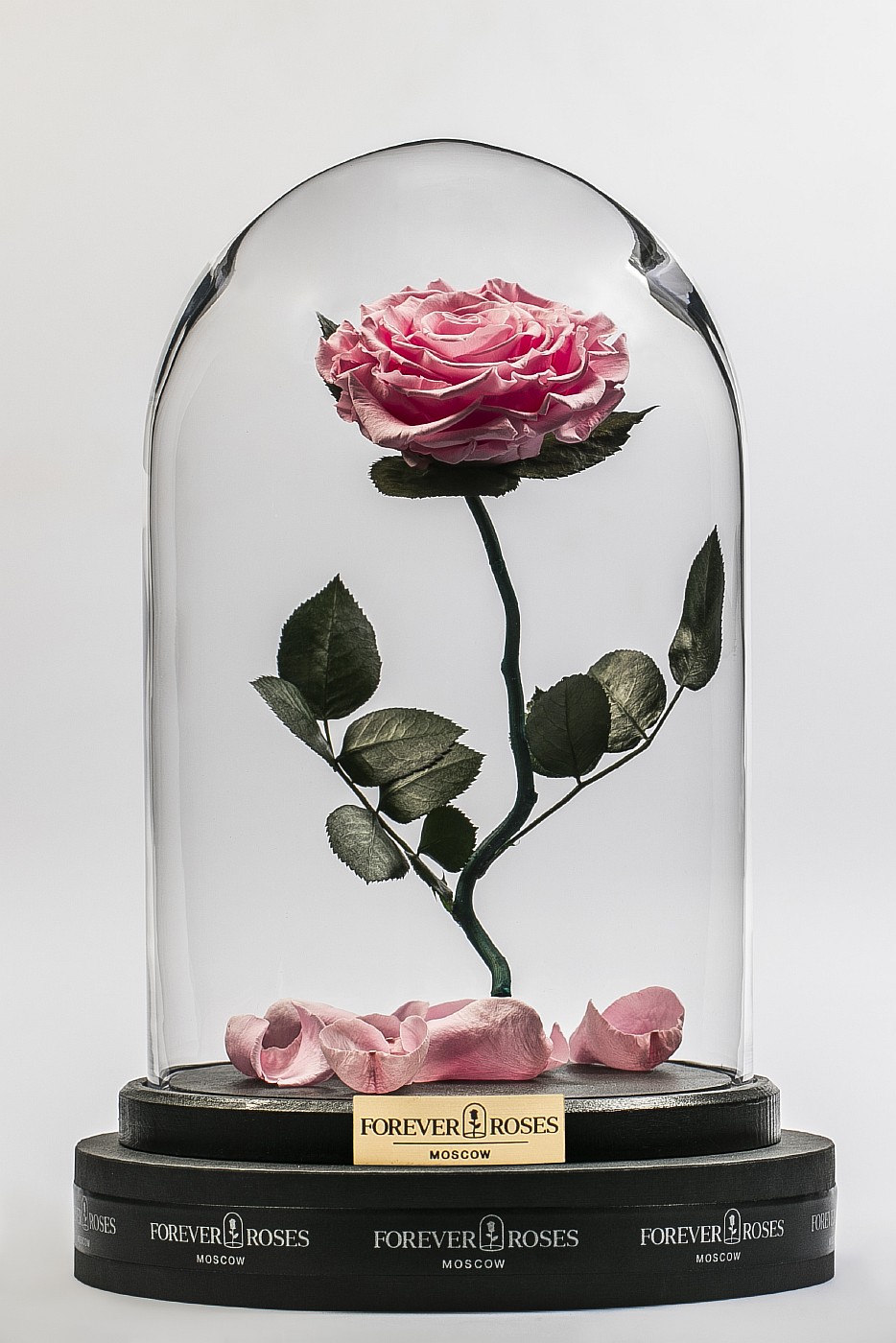 Роза в колбе (светло розовая) на изогнутом стебле, 33 см в Санкт-Петербурге