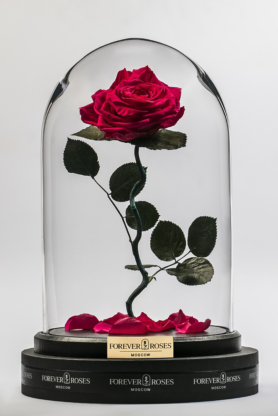 Роза в колбе (ярко розовая) на изогнутом стебле, 33 см в Санкт-Петербурге