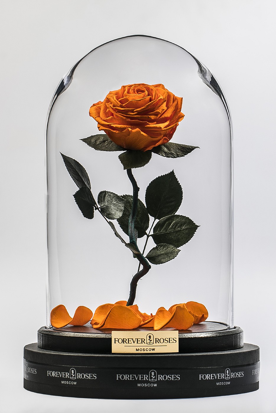 Роза в колбе (оранжевая) на изогнутом стебле, 33 см в Санкт-Петербурге